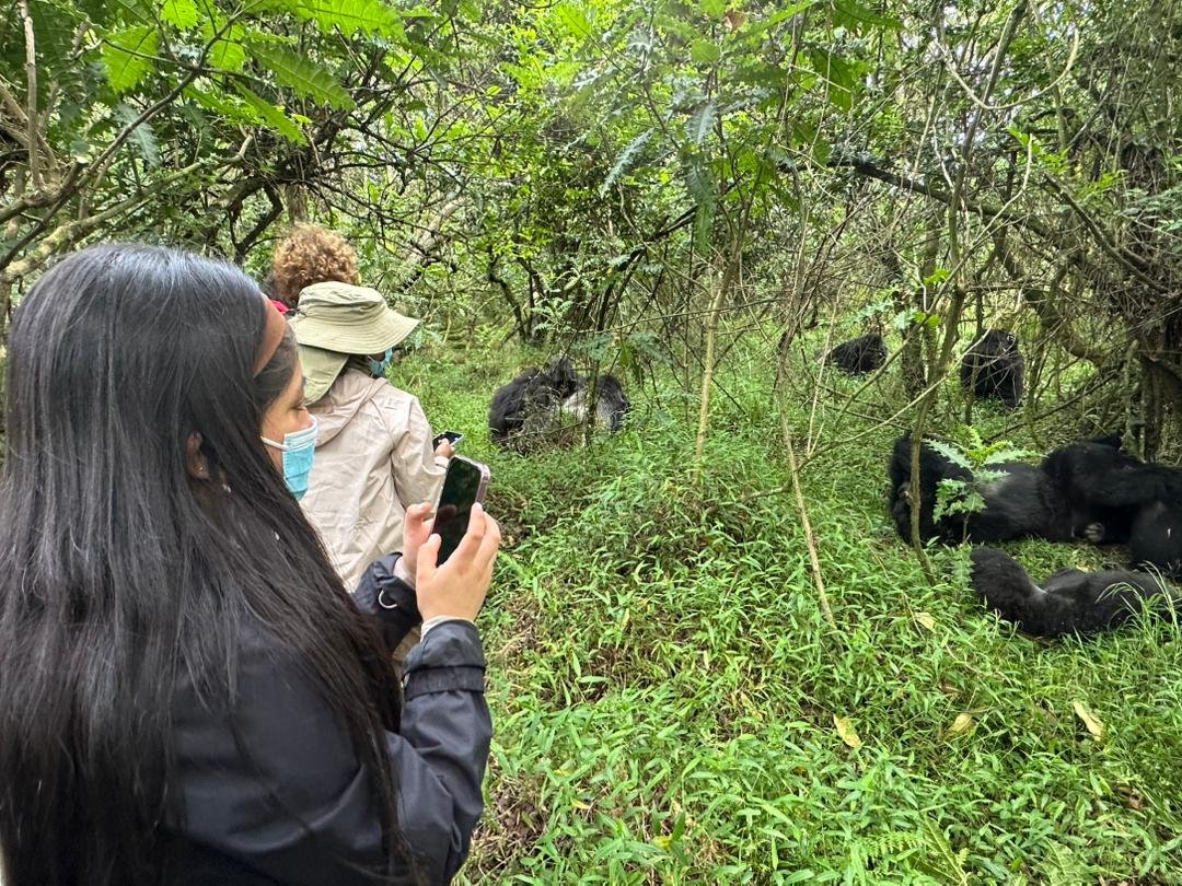 mgahinga-gorilla-national-park