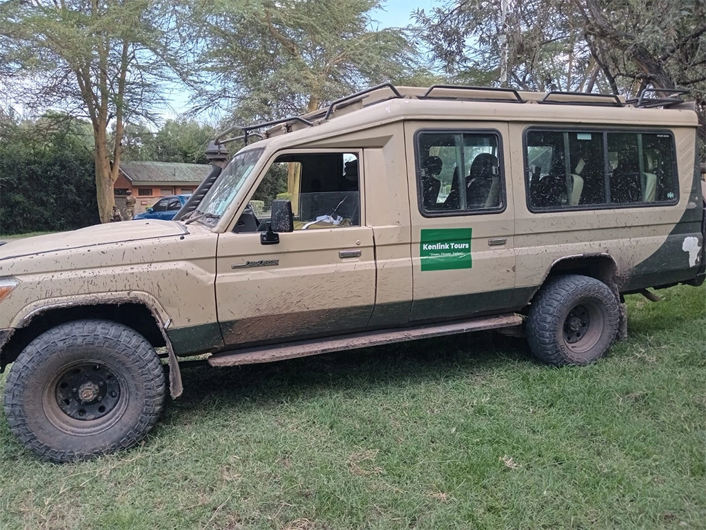 best-tour-operators-for-gorilla-safaris-in-rwanda best-tour-operators-for-gorilla-safaris-in-rwanda