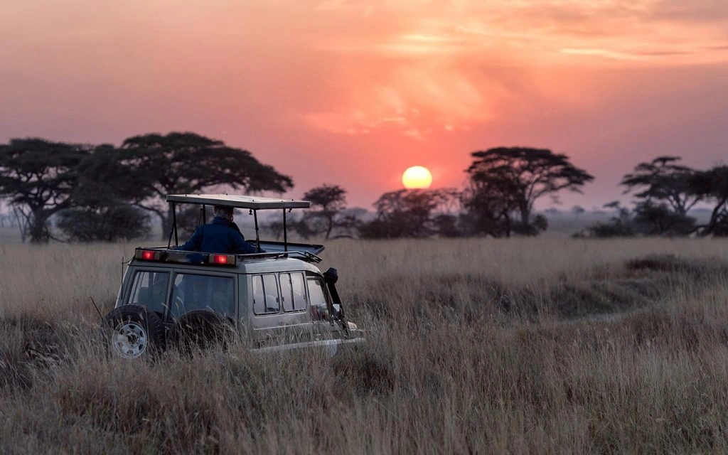 safari-night-game-drives-in-uganda
