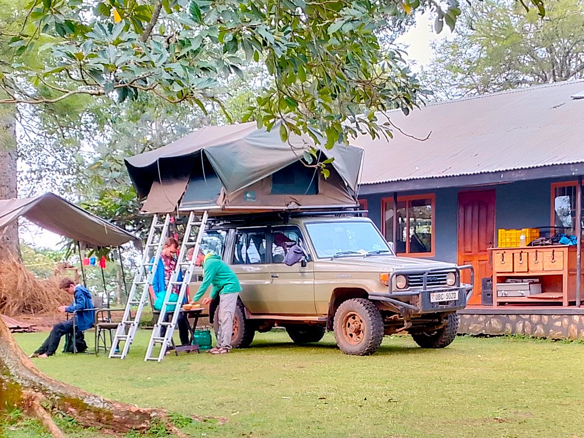 self-drive-gorilla-trekking-safaris-in-uganda