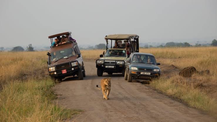 kigali-to-queen-elizabeth-national-park