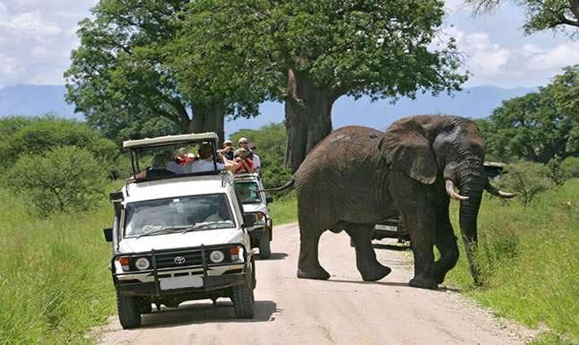 self-drive-safari-routes-in-uganda