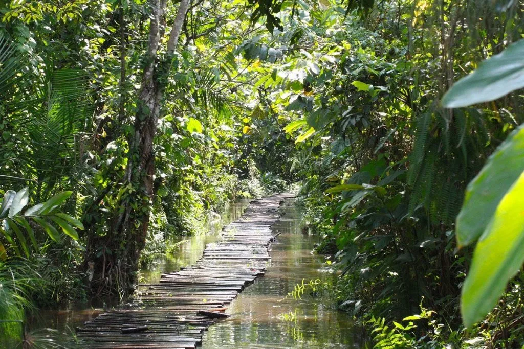 remote-safari-destinations-in-uganda
