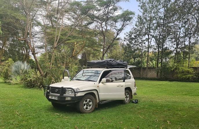 what-to-know-before-renting-a-car-in-uganda