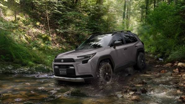rav4-fuel-consumption-on-safari