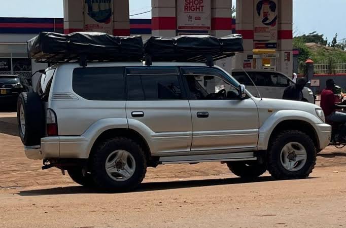why-choose-a-land-cruiser-prado-for-safari