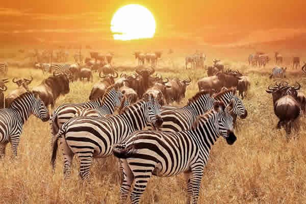 uganda-in-april-self-drive-tips